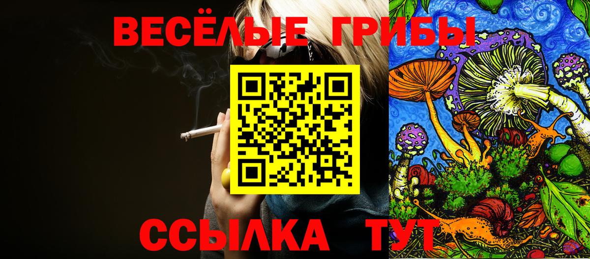 Галлюциногенные грибы Magic Shrooms  Вход с VPN  закладка  Салехард 